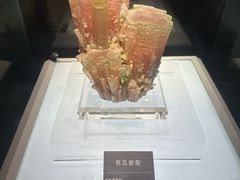 -安徽省地质博物馆