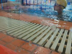 -蓝旗儿童游泳俱乐部(北国中心)