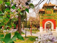 -北京国子监胡同