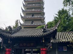 -生宇山珍野生菌汤锅•始于2002(双流古塔店)