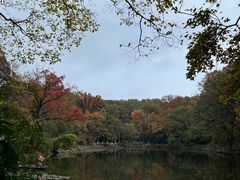 -灵谷景区