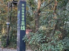 -杭州半山国家森林公园