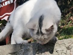 -狼山风景名胜区