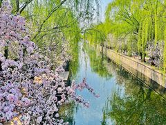 -海棠花溪(元大都城垣遗址公园)