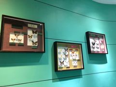 -上海昆虫博物馆