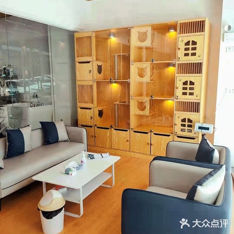 偶然看到这家宠物店，真的太高质量了[加油]