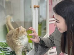 -青奢宠物·青奢猫舍