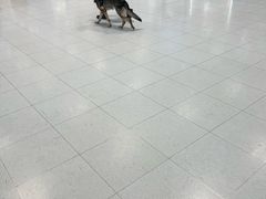 -曼谷素万那普国际机场