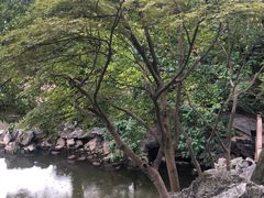 -常熟方塔园