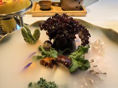 -叶叶菩提(太原别墅店)