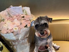 -桂满陇·海市蜃楼·黑金(国金店)