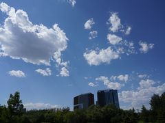 -大望京公园