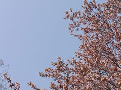 -山东师范大学(千佛山校区)