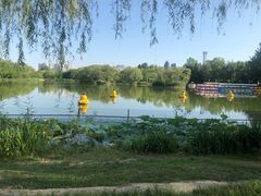 景点-朝阳公园