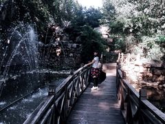 -尚庄度假村·庭台树下·户外烧烤·团建CS·轰趴营地(上庄水库店)