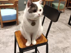 -凯德广场(武胜路店)