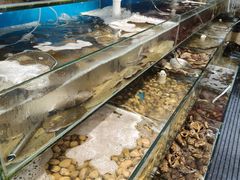 -仙螺岛海鲜自助餐厅(总店)