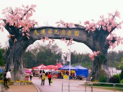 -天适樱花悠乐园