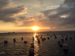 -枸杞岛