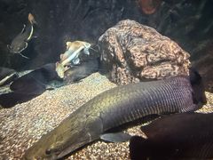 -太平洋海底世界