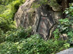 -泰山风景名胜区