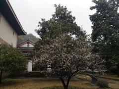 -浙江省博物馆(孤山馆区)