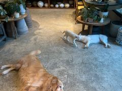 -自由生长植物工作室(深港花卉中心店)