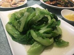 -花城苑广府菜(侨鑫店)