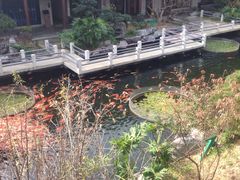 -桃园盛宴·岭南粤菜·手工茶点(南庄店)