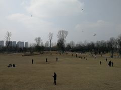 -府河摄影公园