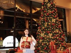-长白山万达喜来登度假酒店