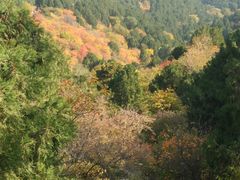 -香山公园-东宫门售票处