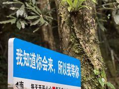 -七仙岭温泉国家森林公园