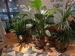 -Wagas沃歌斯(富力广场店)