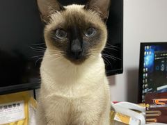 -佳雯宠物医院(四明中路分院)