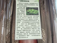 -西湖外事游船(花港观鱼码头)