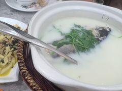 -紫藤园·天目湖大鱼头(南山竹海店)