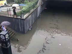 -西二旗(地铁站)