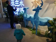 -涂兰朵国际儿童美术馆