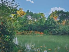 -蠡湖中央公园