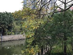 -晓港公园