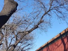 -北京市劳动人民文化宫(太庙)