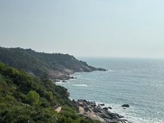 -广东惠东海龟国家级自然保护区