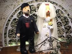 -济州岛泰迪熊博物馆