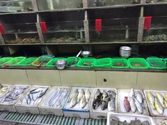 -龙宫海鲜楼(长乐漳港店)