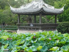 -无锡蠡湖国家湿地公园-蠡园