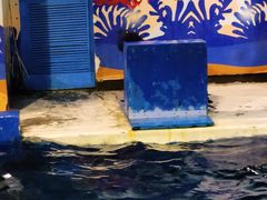 -太平洋海底世界