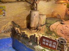 -正佳雨林生态植物园