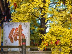 -金堂县云顶石城风景区