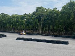 -上海海湾国家森林公园